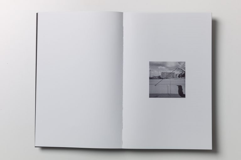 skymmerochser_bok06