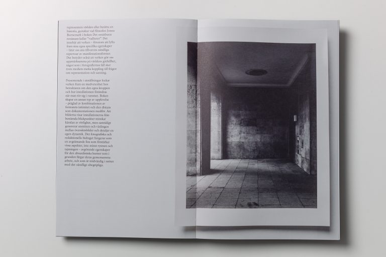 skymmerochser_bok08