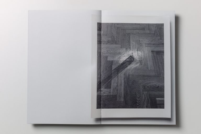 skymmerochser_bok21
