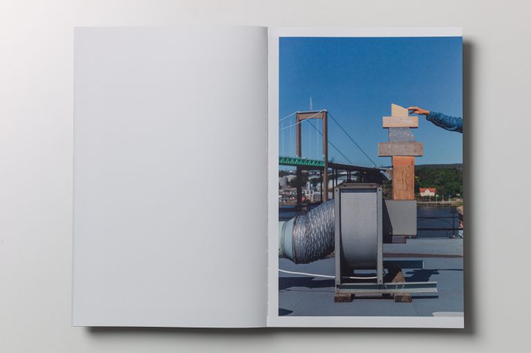 skymmerochser_bok22
